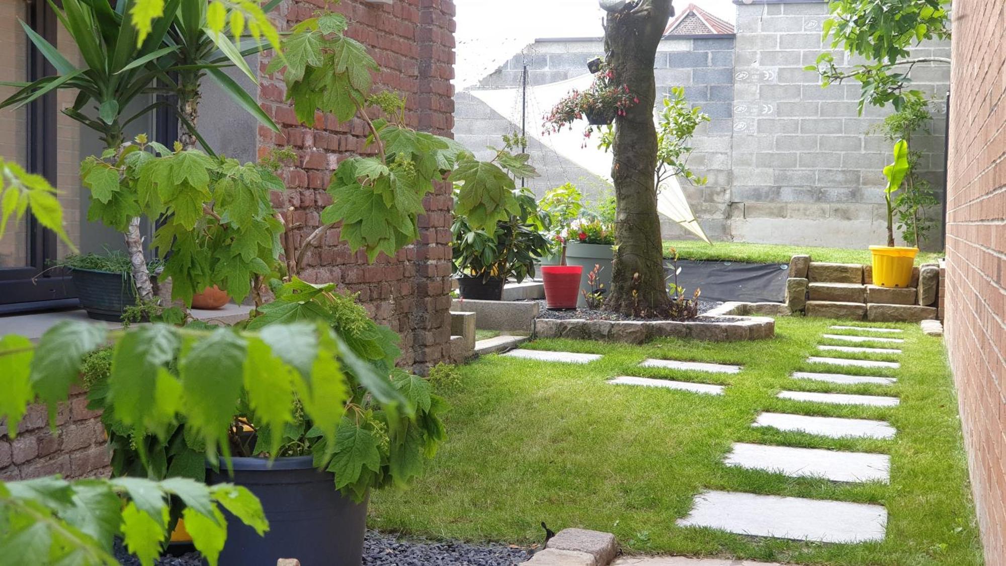 Awoingt Gary Suite - Studio Cosy, Spa Et Jardin Privatif A 4 Min De Cambrai מראה חיצוני תמונה